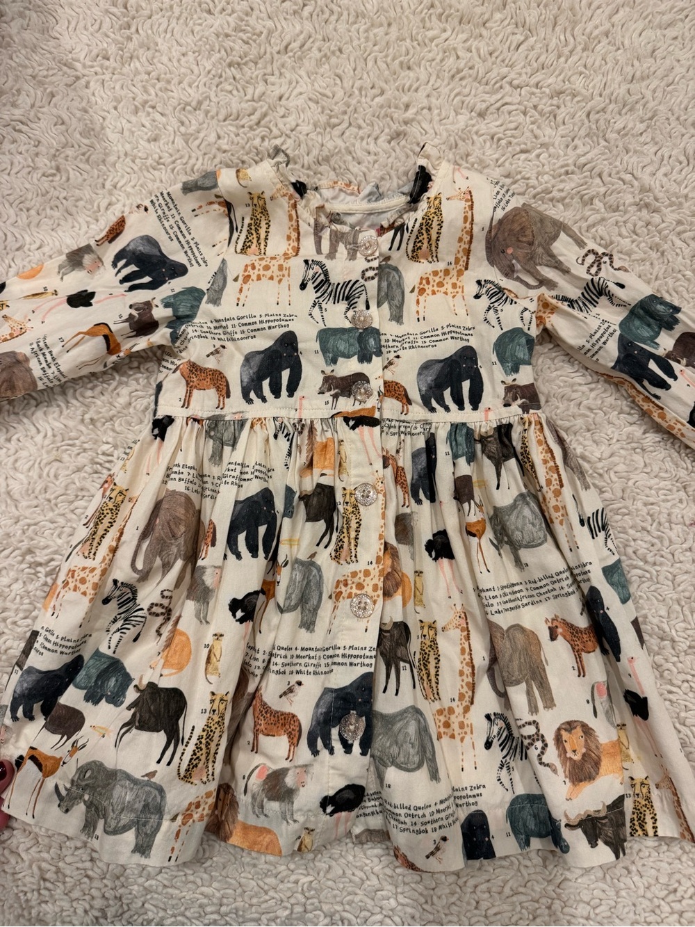 Pink Chicken Autumn Animal Dress Animals of Africa 2Y